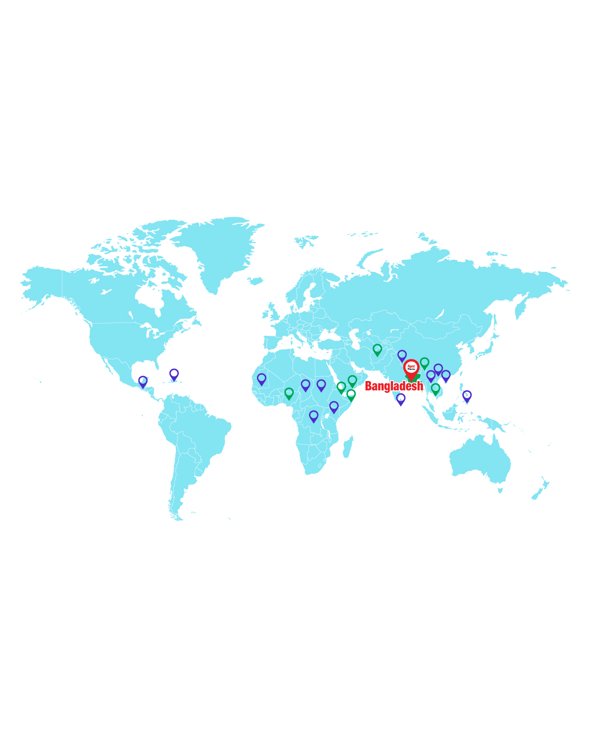 International Business