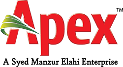 Apex Enterprise Limited